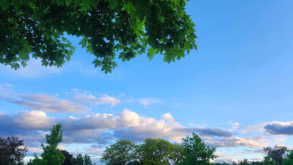 Embracing Change and Not Giving&nbsp;Up