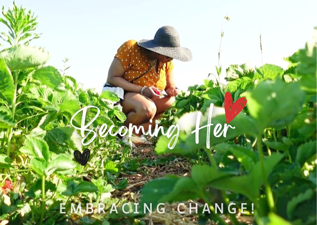 A Day in the Sun with a Basket of Berries : Strawberry Picking at Robintide&nbsp;Farms